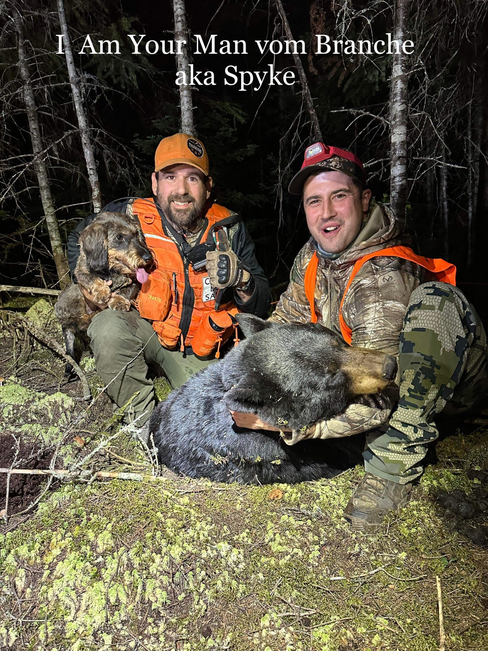 Ours récupérer par conducteur de chien de sang